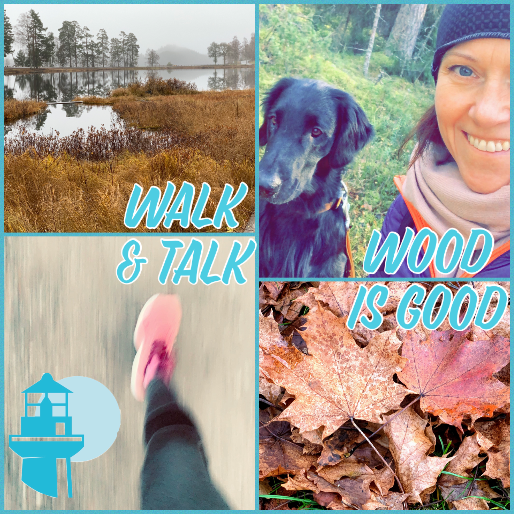Wood is good, om walk & talk-möten med skogsbad